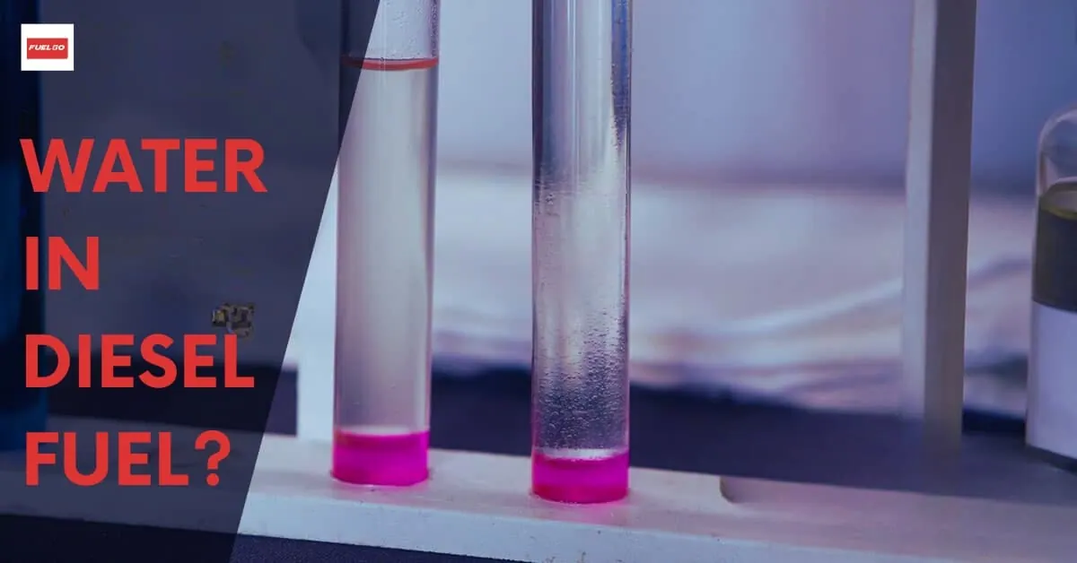 Two test tubes of clear liquid with a pink layer settled at the bottom, beside the words Water in Diesel Fuel?
