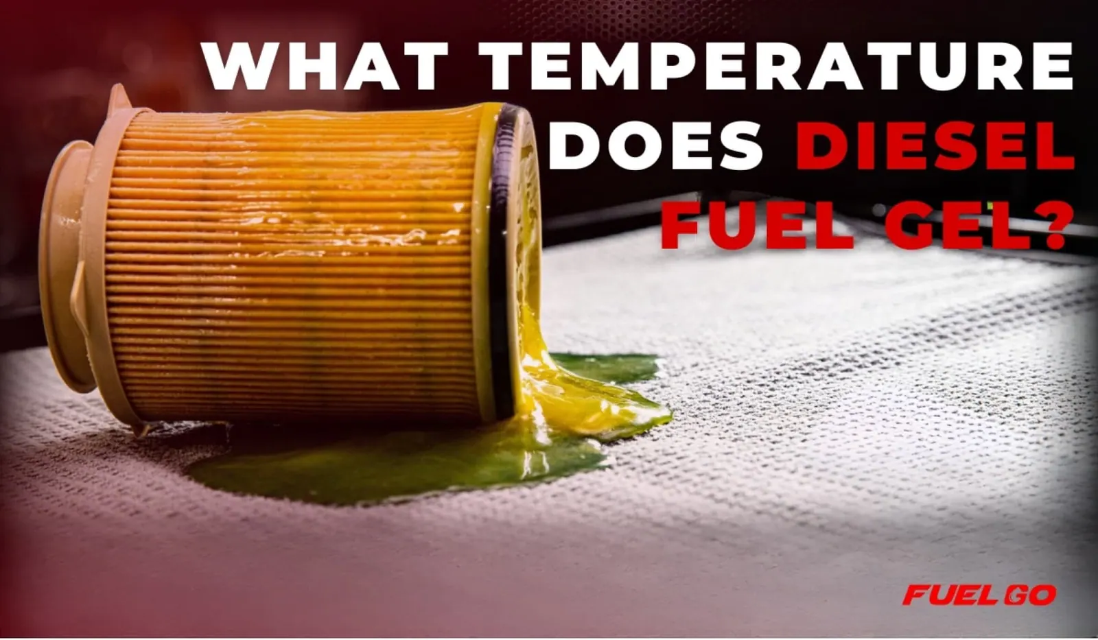 Diesel fuel filter lying on its side with thick yellow gelled fuel oozing out, under the headline What temperature does diesel fuel gel?