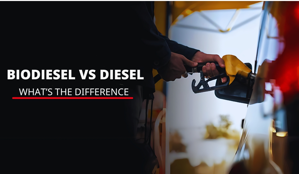 Biodiesel vs Diesel: Understanding Differences